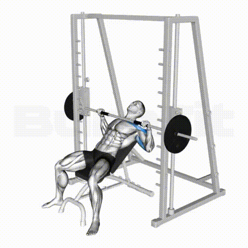 Smith Machine Shoulder Press